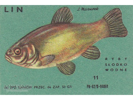 Etykiety z rybami słodkowodnymi (cz. 2)