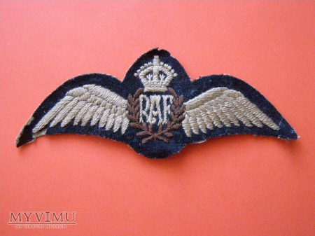 3. Plakietka RAF