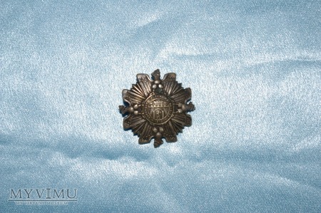Honorowa Odznaka Orląt Lwowskich 1919