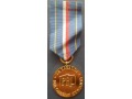Złota Odznaka „Za Zasługi dla Obrony Cywilnej”