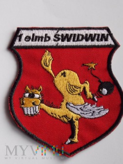 1 Eskadra 40 PLMB-ŚWIDWIN