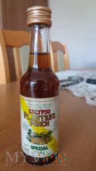 Calypso Planter's Punch