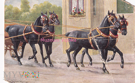 Czwórka karych koni w zaprzęgu