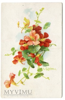 Catharina C. Klein kompozycja kwiatowa