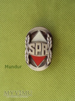 Odznaka absolwenta SPR