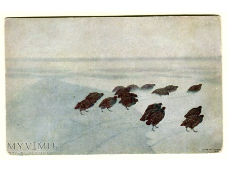 Duże zdjęcie c. 1915 Józef Chełmoński Kuropatwy pocztówka