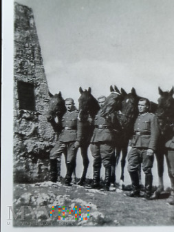 Duże zdjęcie Niemcy - Fotografie z albumu - Och te konie