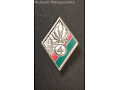 Odznaka 4 Regimentu Piechoty Legii Cudzoziemskiej