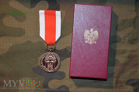 Duże zdjęcie Medal brązowy "Za Zasługi dla Obronności Kraju"
