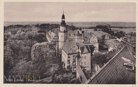 Kronprinzl. Schloss