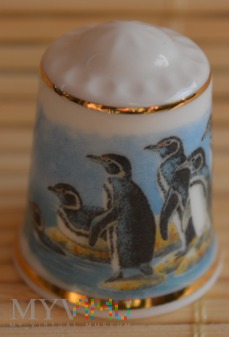 Seria :ŚWIAT PINGWINÓW/ Pingwin równikowy