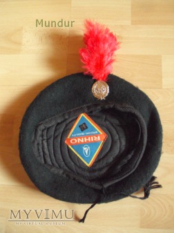 Indyjski beret: The National Cadet Corps