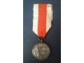 Srebrny Medal Za Zasługi dla Pożarnictwa (OSP)