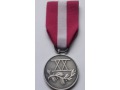 Medal Za Długoletnią Służbę XX Lat