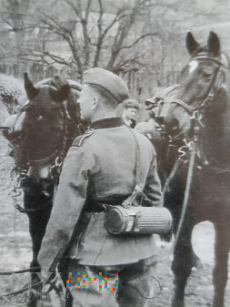 Duże zdjęcie Niemcy - Fotografie z albumu - Były i konie