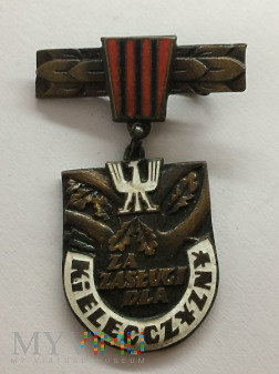 Odznaka Za Zasługi dla Kielecczyzny brązowa