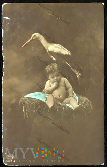 Bocian z dzieckiem - 1914