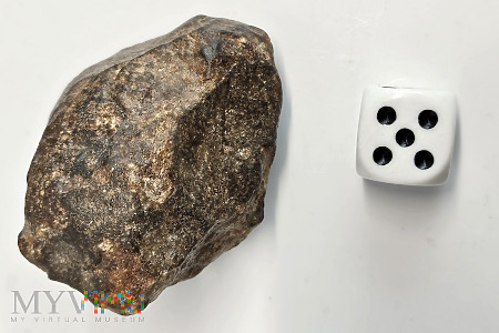 21.5- NWA XXX- 115,29 gram- Chondryt zwyczajny