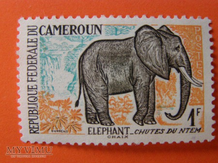 063. Kamerun