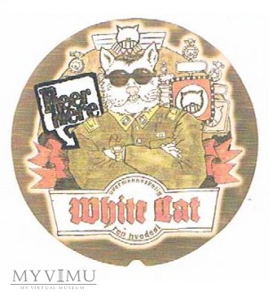 beer here - white cat