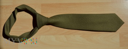 Duże zdjęcie Krawat khaki Wojsk Lądowych wz.306/MON
