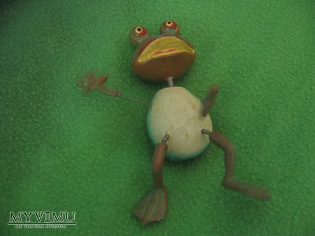 Duże zdjęcie żaba sprężynkowa:)