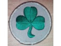38 Infantry Irish Brigade