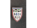 Odznaka 41 Pułku Piechoty Armii Francuskiej