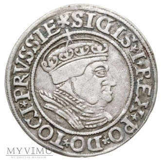 Grosz dla Prus Królewskich 1534
