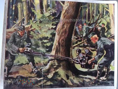 Duże zdjęcie żołnierze ścinają drzewo
