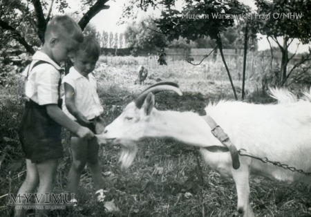 Prewentorium dla dzieci w Otwocku, lata 50. XX wie