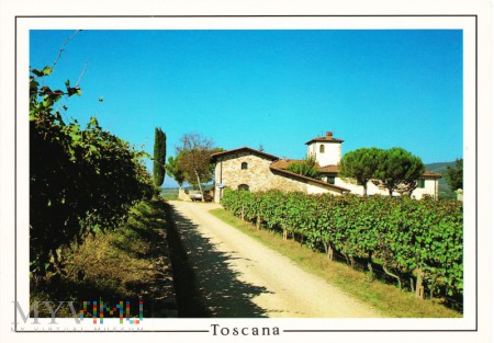Duże zdjęcie Toscana
