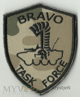 ISAF IX TASK FORCE BRAVO