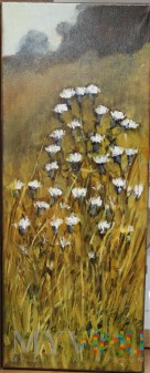 Kwiaty 20x50 Cezary Garbowicz