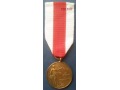 Brązowy Medal Za Zasługi dla Pożarnictwa (OSP)