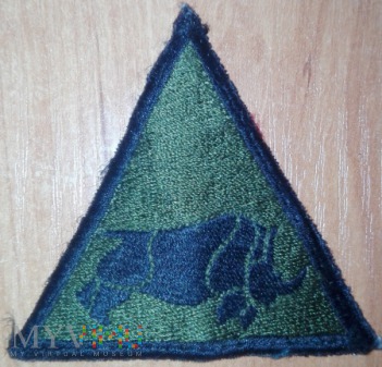 1st Armoured Division - polowa