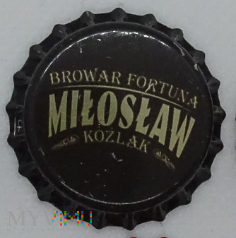 Miłosław, Numer: 008