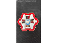 Odznaka 1 Batalionu Drogowo Mostowego Nr:16
