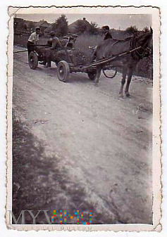 Wóz konny w Krasewie
