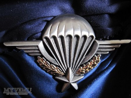 Odznaka spadochroniarza 1