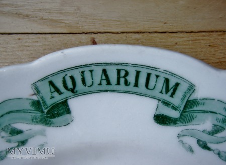 Talerz Aquarium