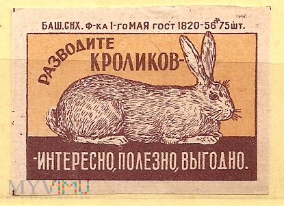 Rodowód królików.1960.1a