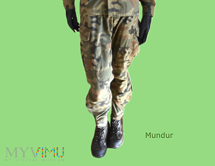 Spodnie munduru polowego letniego wz 124L/MON
