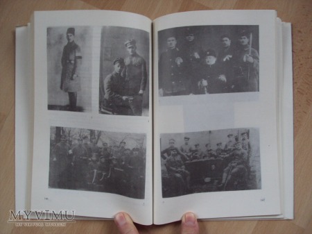 Barwa i broń Siły Zbrojnych Wielkopolski 1919-1920