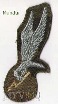 Oznaka GROM na mundur polowy