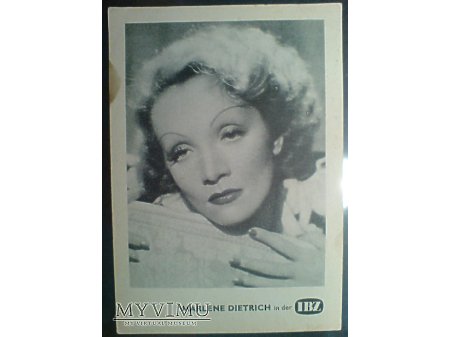 Marlene Dietrich portret Pocztówka MARLENA