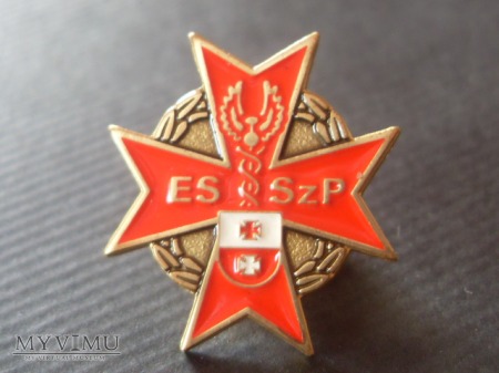 Duże zdjęcie Pamiątkowa wpinka" ESSzP"-2011r.