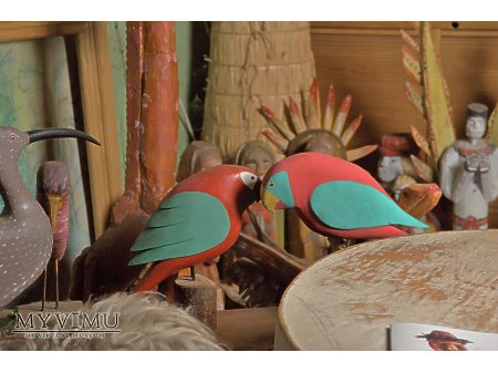 Duże zdjęcie Papużki nierozłączki