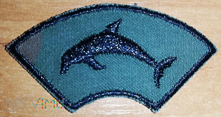 6 BDSz - odznaka sprawnościowa delfin - polowa