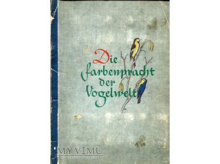 Duże zdjęcie Die Farbenpracht der Vogelwelt PTAKI album 1939